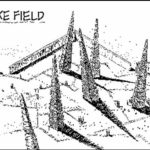 spike field spike field