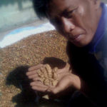 Kopi Luak Farmer Kopi Luak Farmer