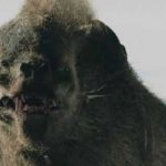 warg toast