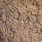 kraken evidence